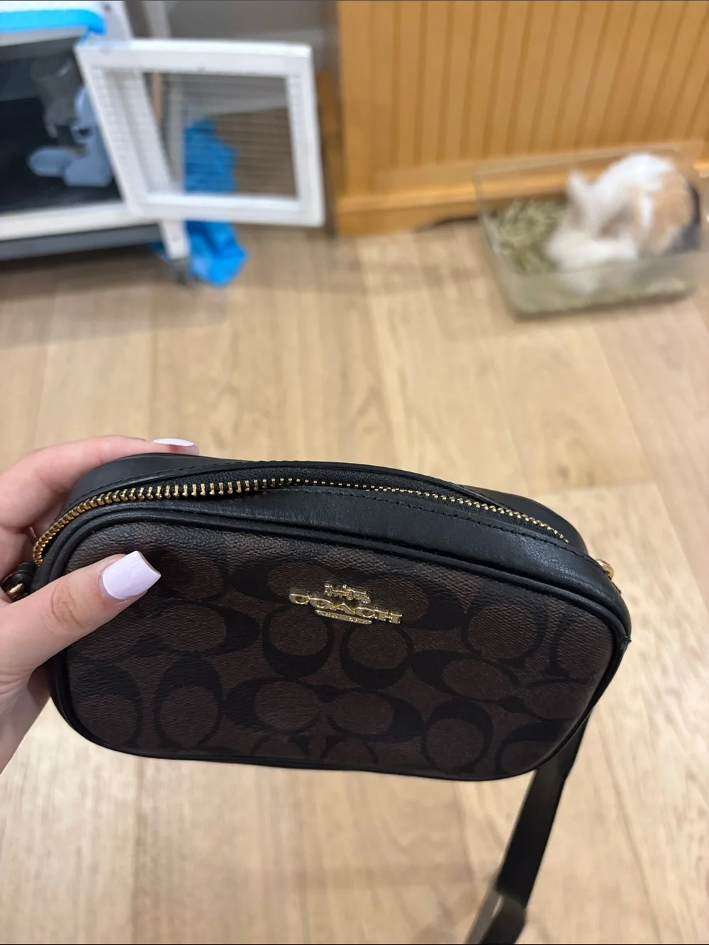 Coach Brown and Black Signature Canvas Belt Bag with Gold Hardware
